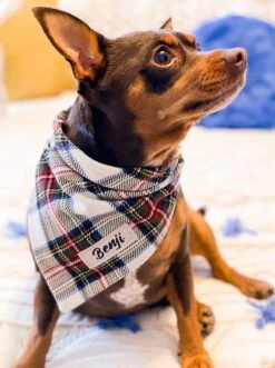 Dog Bandana • Personalized Dog Bandana • Christmas Tartan Dog Bandana • New Puppy Gift -Jewellery Soldes Boutique il fullxfull.4404132410 3j7n