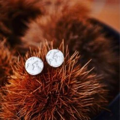 Globe Earrings / World Map Earrings /Travel Earrings/Gift For Women/Gifts For You/Traveler Gift/Silver Studs/Affordable Christmas Gift Ideas