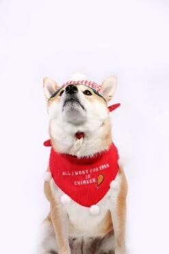 Christmas Handmade Dog Bandana - All I Want For Xmas Is Chimken | Dog Gift | Dog Mom Gift | Holiday Gift