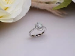 Christmas Special Price - Cremation Ashes & Memorial Halo Ring 'Roxanne'