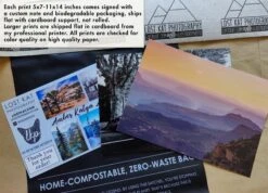 Winter Wall Art, Christmas Mood Decor, Minimalist Print Forest Art Print, Nature Photography, Winter Trees, Snow Storm, Modern Photography -Jewellery Soldes Boutique il fullxfull.5091296849 2wm6