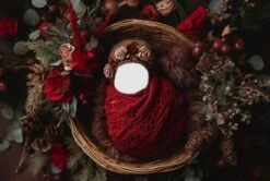 Newborn Christmas Digital Backdrop, Face Insert Digital Background Christmas Aerial, Newborn Floral Basket Digital Backdrop Holiday Greenery