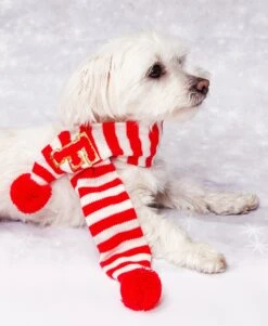 Cats Christmas Scarfs, Red White Scarfs, Xmas Pets Scarf, Custom Initials Pets Scarfs, Custom Scarfs, Xmas Gifts For Pets, Dog Xmas Gifts -Jewellery Soldes Boutique il fullxfull.5383691238 56yw
