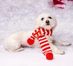Cats Christmas Scarfs, Red White Scarfs, Xmas Pets Scarf, Custom Initials Pets Scarfs, Custom Scarfs, Xmas Gifts For Pets, Dog Xmas Gifts -Jewellery Soldes Boutique il fullxfull.5383691918 no0i