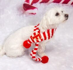Cats Christmas Scarfs, Red White Scarfs, Xmas Pets Scarf, Custom Initials Pets Scarfs, Custom Scarfs, Xmas Gifts For Pets, Dog Xmas Gifts -Jewellery Soldes Boutique il fullxfull.5383693860 ke7f