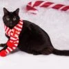 Cats Christmas Scarfs, Red White Scarfs, Xmas Pets Scarf, Custom Initials Pets Scarfs, Custom Scarfs, Xmas Gifts For Pets, Dog Xmas Gifts -Jewellery Soldes Boutique il fullxfull.5383694742 h9eh