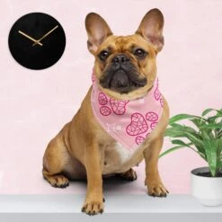 Pink Paws Pet Bandana | Pet Wear, Sweet Heart Gift, Holiday Gift, Christmas Pets, Limited Edition -Jewellery Soldes Boutique il fullxfull.5549254569 knly