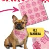 Pink Paws Pet Bandana | Pet Wear, Sweet Heart Gift, Holiday Gift, Christmas Pets, Limited Edition -Jewellery Soldes Boutique il fullxfull.5553239441 6kf5