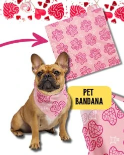 Pink Paws Pet Bandana | Pet Wear, Sweet Heart Gift, Holiday Gift, Christmas Pets, Limited Edition