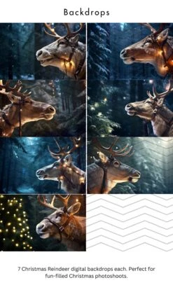 44 Christmas Backdrop Bundle | Digital Backdrops For Holiday Photography | Photoshoots With Santa, Snowmen, Reindeer, Gingerbread & More PNG -Jewellery Soldes Boutique il fullxfull.5564023195 6g6q