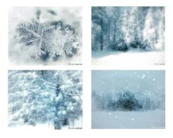 Winter Photography Set, Christmas Photos - 4 Photos Four Blue White Christmas Set Of 4 Winter Images Woods Snow Trees Winter Print Set