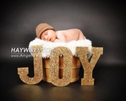 Newborn, Baby, Toddler, Child, Basket Photography Digital Backdrop Prop For Photographers With Christmas JOY Background With Fur Coverup