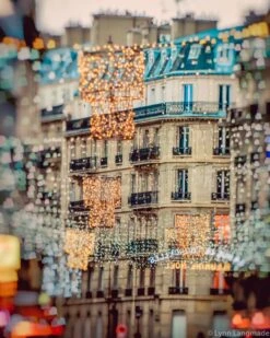 Paris Photography - Christmas Lights Paris Holiday Decorations Winter Photography Neutral Blue Gold 8x10 5x7 11x14 16x20 Art "Winter Light" 15 Paris Photography - Christmas Lights Paris Holiday Decorations Winter Photography Neutral Blue Gold 8x10 5x7 11x14 16x20 Art "Winter Light" -Jewellery Soldes Boutique il fullxfull.717525573 9540