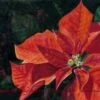 Poinsettia Red Flower Christmas Wall Art Watercolor Painting -Jewellery Soldes Boutique il fullxfull.809388293 r4tp