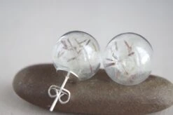 Dandelion Stud Earrings Christmas Gift Idea For Her Dandelion Seeds Glass Orb Earrings Dandelion Jewelry Real Flower Earrings Botanical -Jewellery Soldes Boutique il fullxfull.851751625 nfsg