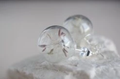 Dandelion Stud Earrings Christmas Gift Idea For Her Dandelion Seeds Glass Orb Earrings Dandelion Jewelry Real Flower Earrings Botanical -Jewellery Soldes Boutique il fullxfull.851760703 exsg