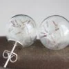 Dandelion Stud Earrings Christmas Gift Idea For Her Dandelion Seeds Glass Orb Earrings Dandelion Jewelry Real Flower Earrings Botanical -Jewellery Soldes Boutique il fullxfull.852148766 sxb1