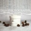 INSTANT DOWNLOAD-Christmas Backdrop! Christmas Fur Bucket, Snow Backdrop! Newborn Christmas Digital Backdrop
