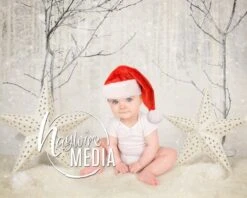 Baby, Child, Studio Photography Digital Backdrop Prop For Photographers - White Winter Christmas With Snow Trees And Stars - In 2 Sizes